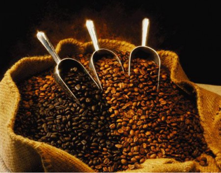 Variedad de calidad